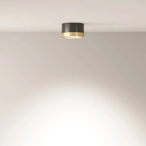 Потолочный светильник Ceiling Hoop, 1xGX53 Черный с Золотом (Maytoni Technical, C086CL-GX53-SRD-BG) - Amppa.ru