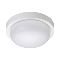 Светильник Ландшафтный Светодиодный Настенно-потолочного Монтажа Opal Street, Led, Белый (Novotech, 358014)
